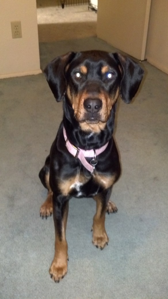 2012-04-15_15-42-27_773