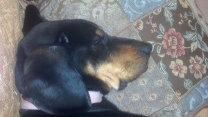 2012-07-06_19-04-43_349